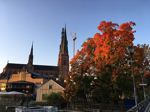 Domkyrkan och höstträd från St Olofsbron