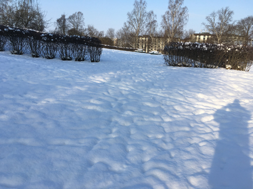 Snöigt i Höganäsparken