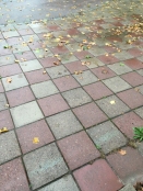 Löv på regnvåt trottoar