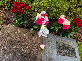 Graven närbild med fyra buketter rosor