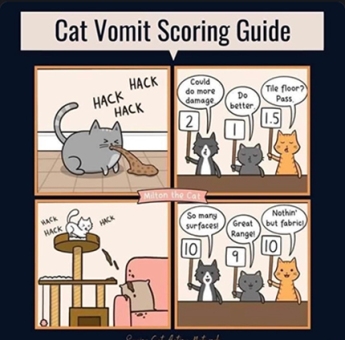 Cat vomit score